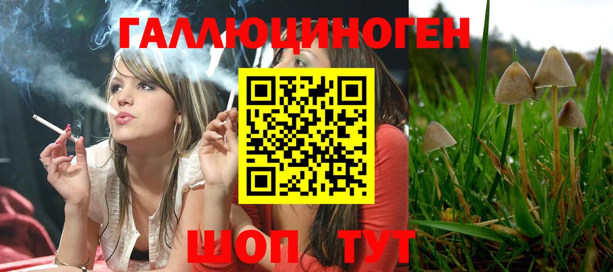 Псилоцибиновые грибы Cubensis  дарнет шоп  Владикавказ  Вход с VPN  Галлюциногенные грибы Psilocybe 