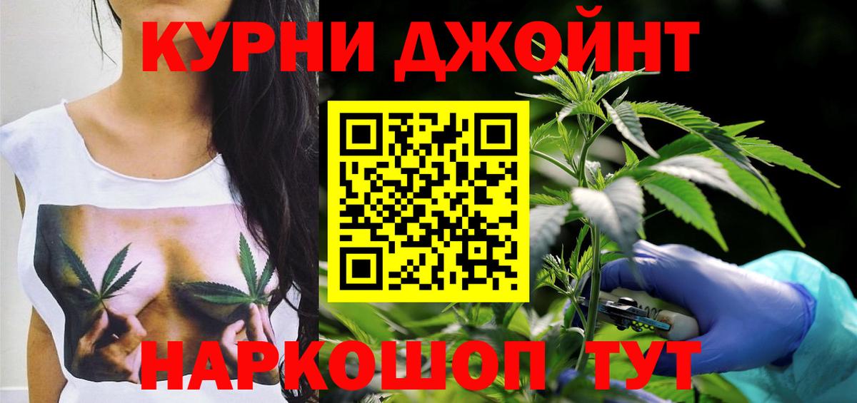Каннабис OG Kush Владикавказ